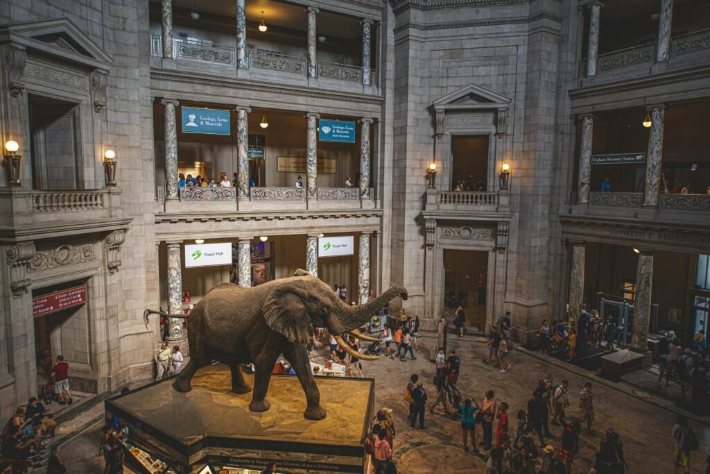 New York City Free or Pay-what-you-wish Museums